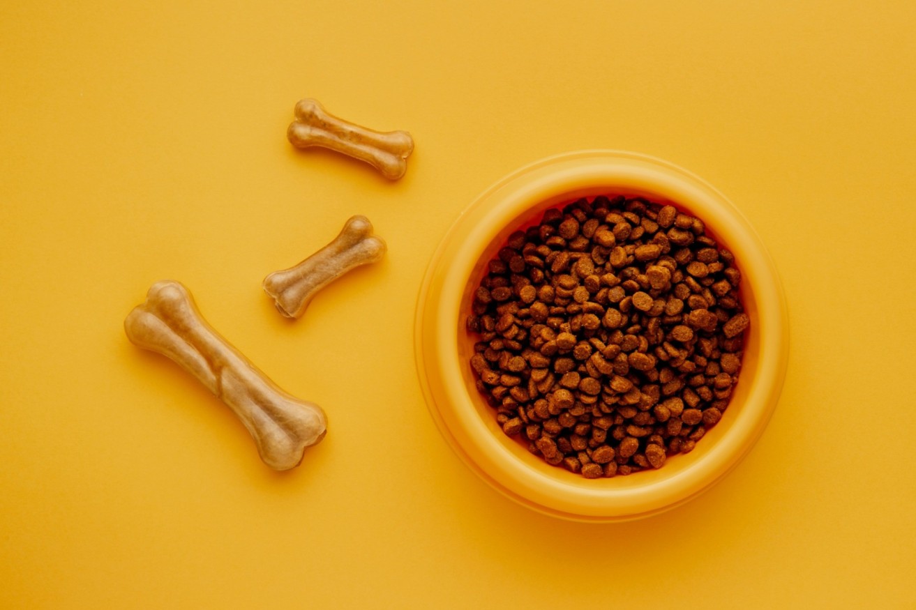 Pet Food