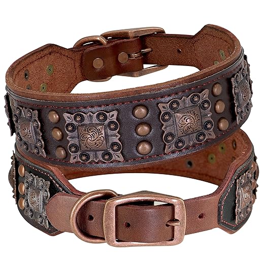Leather Dog Collar
