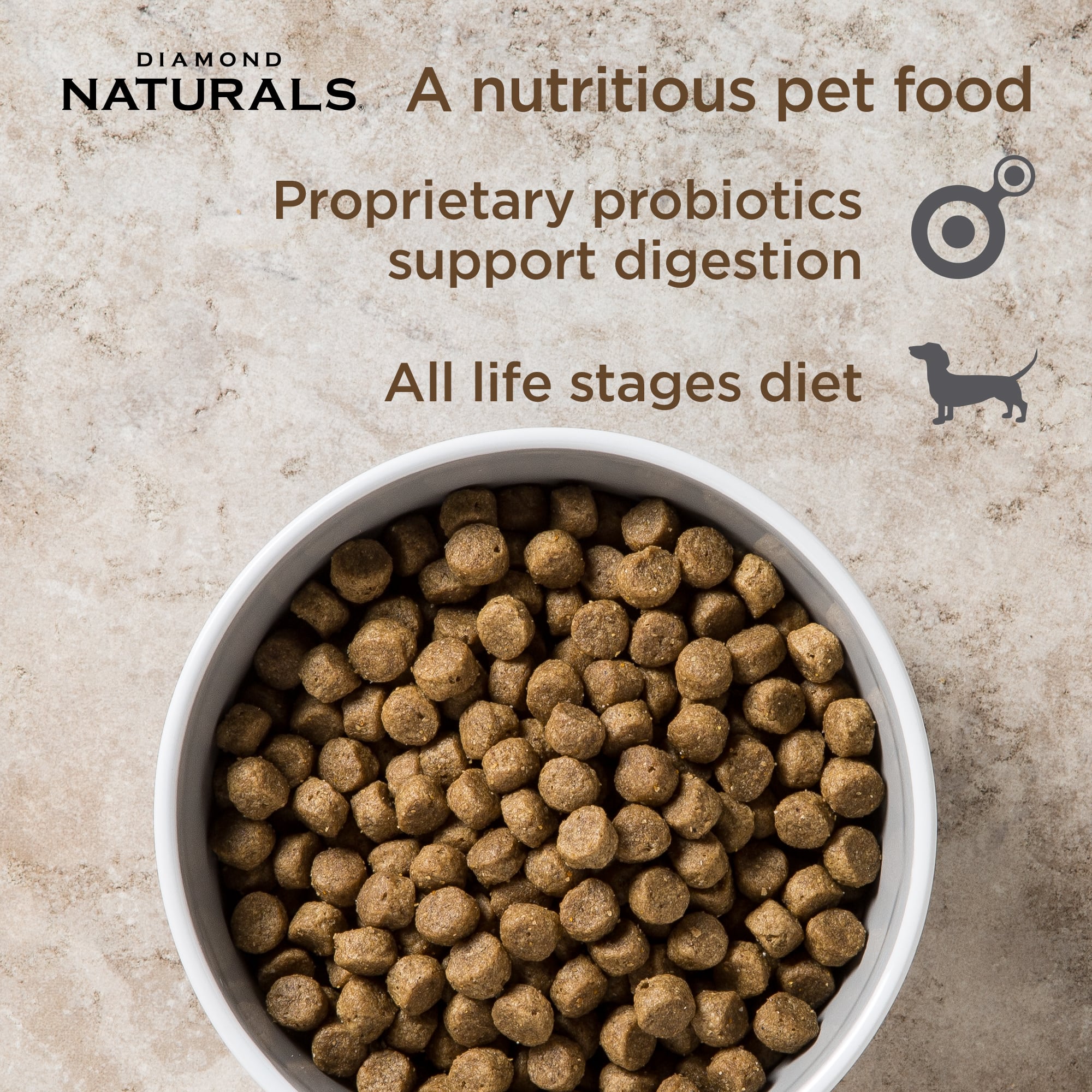 All-Natural Chicken Kibble - Image 2
