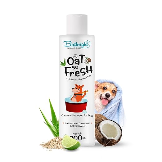 Organic Coconut Oil Shampoo