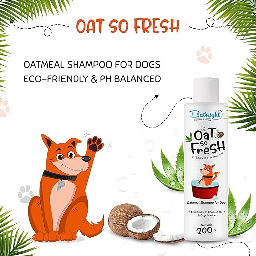 Organic Coconut Oil Shampoo - Image 2