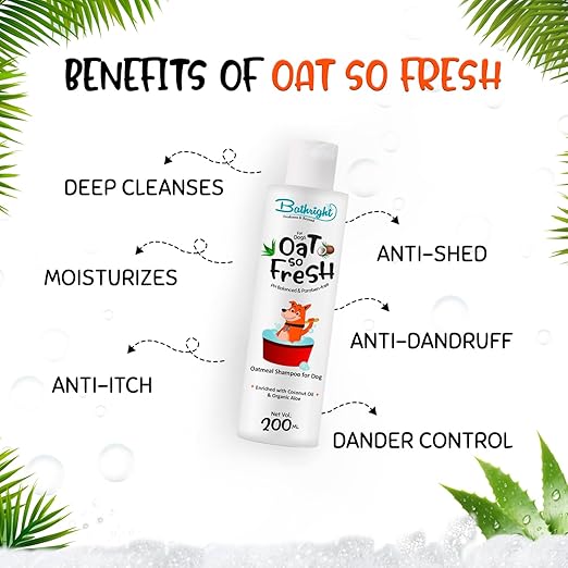 Organic Coconut Oil Shampoo - Image 3