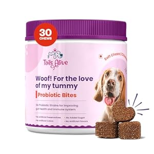 Probiotic Supplement