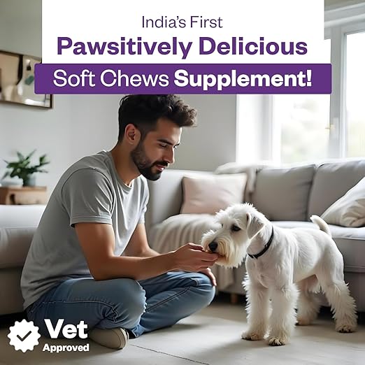 Probiotic Supplement - Image 2