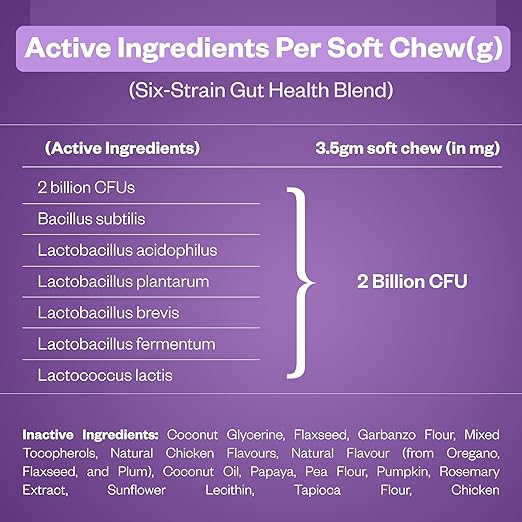 Probiotic Supplement - Image 3