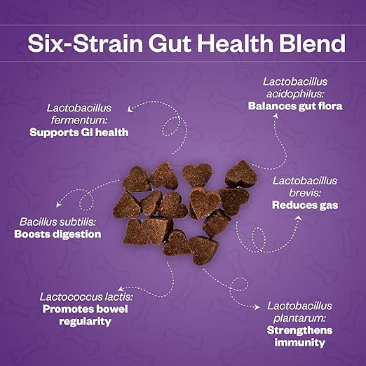 Probiotic Supplement - Image 4